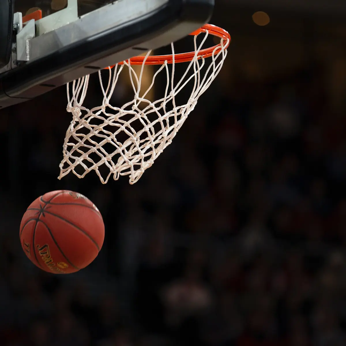 PERMAINAN BOLA BASKET : TAHU TIDAK KAMU ATURANNYA?