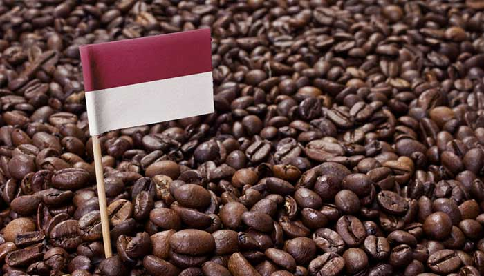 kopi terbaik Indonesia